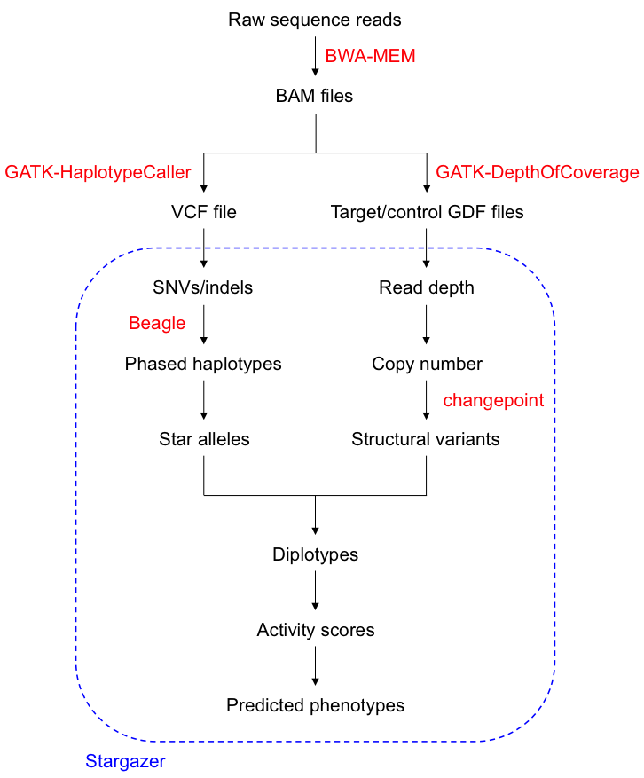 Stargazer diagram